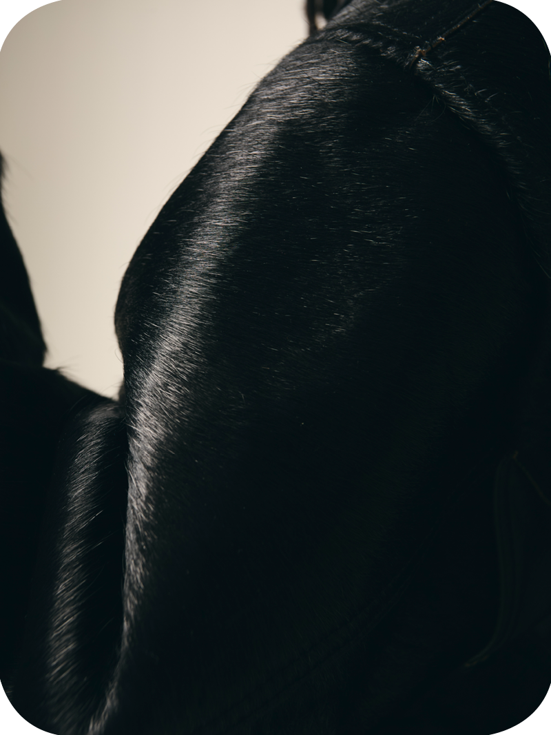 Black Cowhide Jacket - Image 5