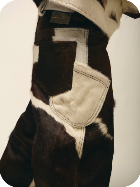 Nguni Cowhide Converts - Image 6